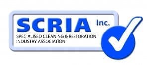 SCRIA Logo 3D HRes CMYK