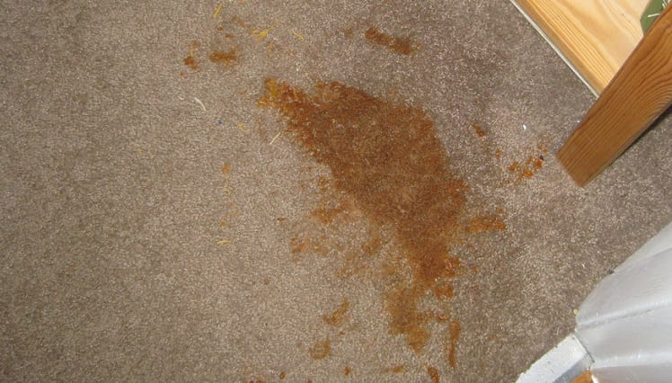 Dirty stain on carpet